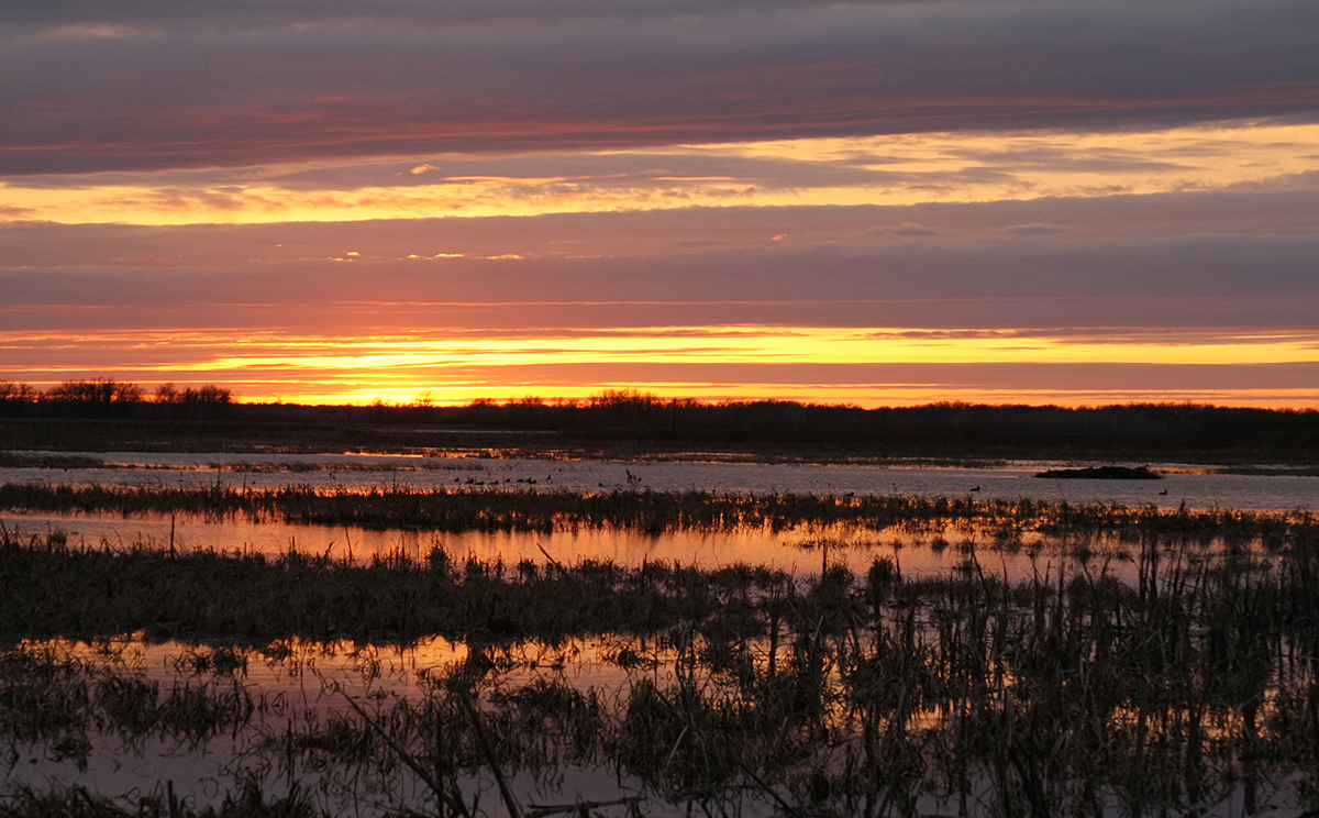 Image for Wetlands Council Awards $2.08 Million for Great Lakes Conservation 