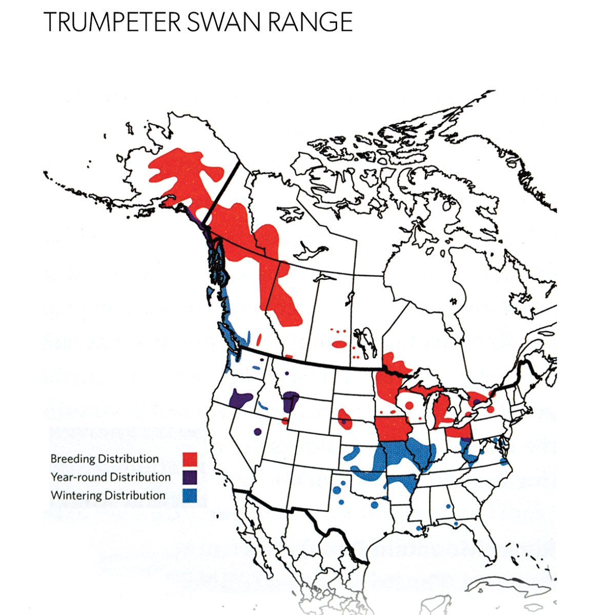 Trumpeter Range Map.jpg