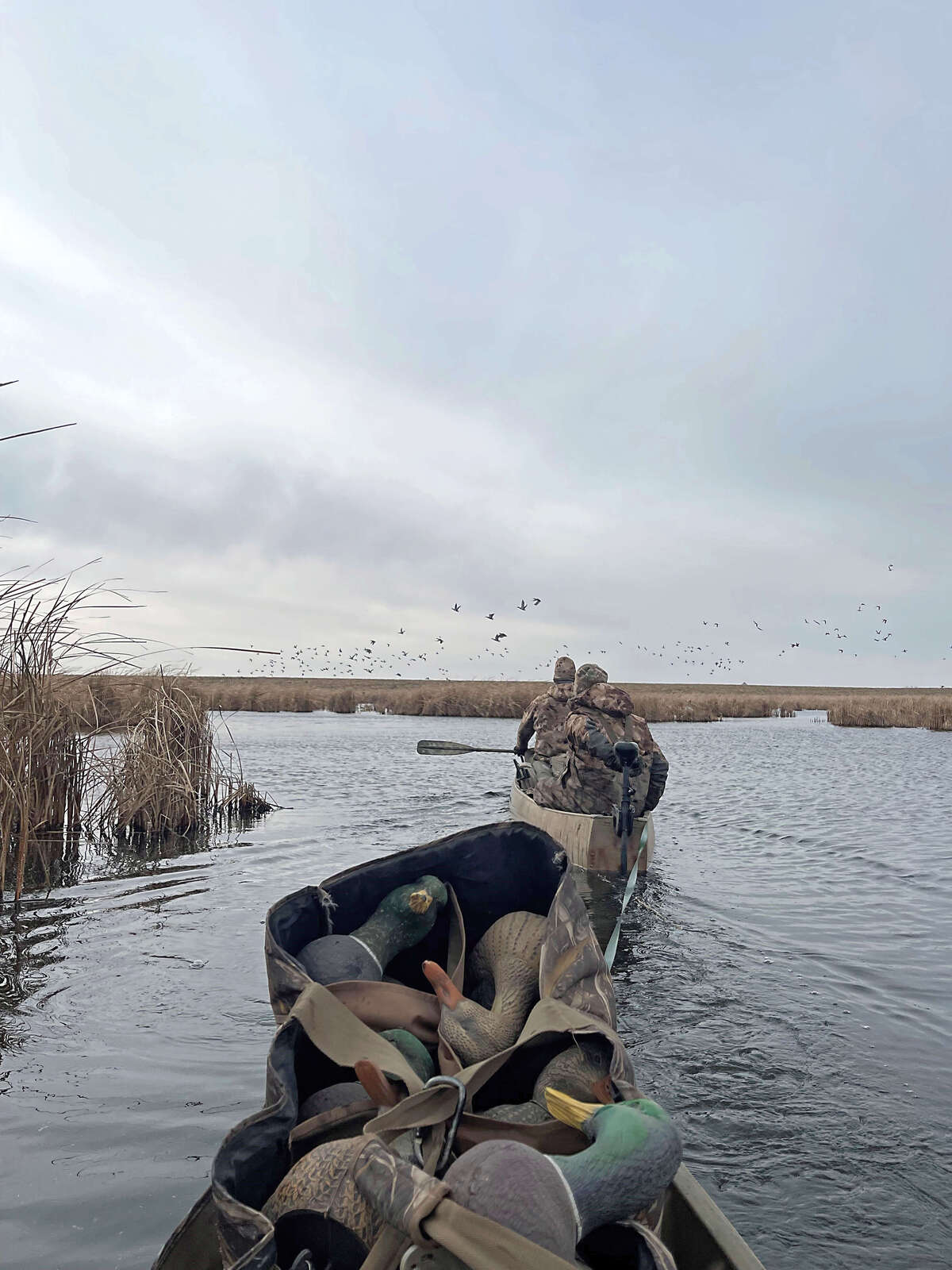 Duck hunters in marsh on a boat with a flock of waterfowl in the distance. Photo by Anthony Scardigli
