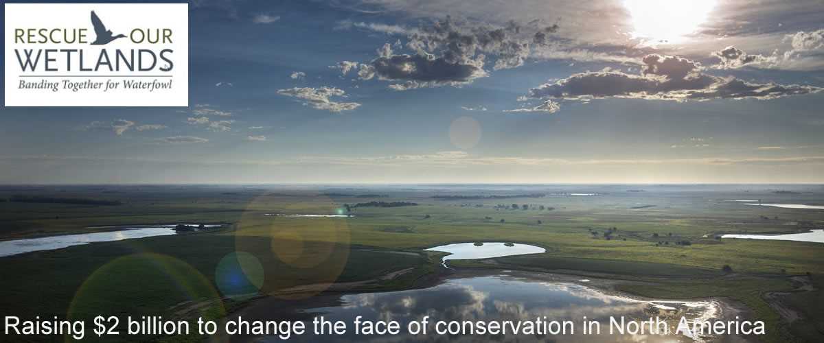 Raising $2 billion to change the face of conservation in North America over wetlands