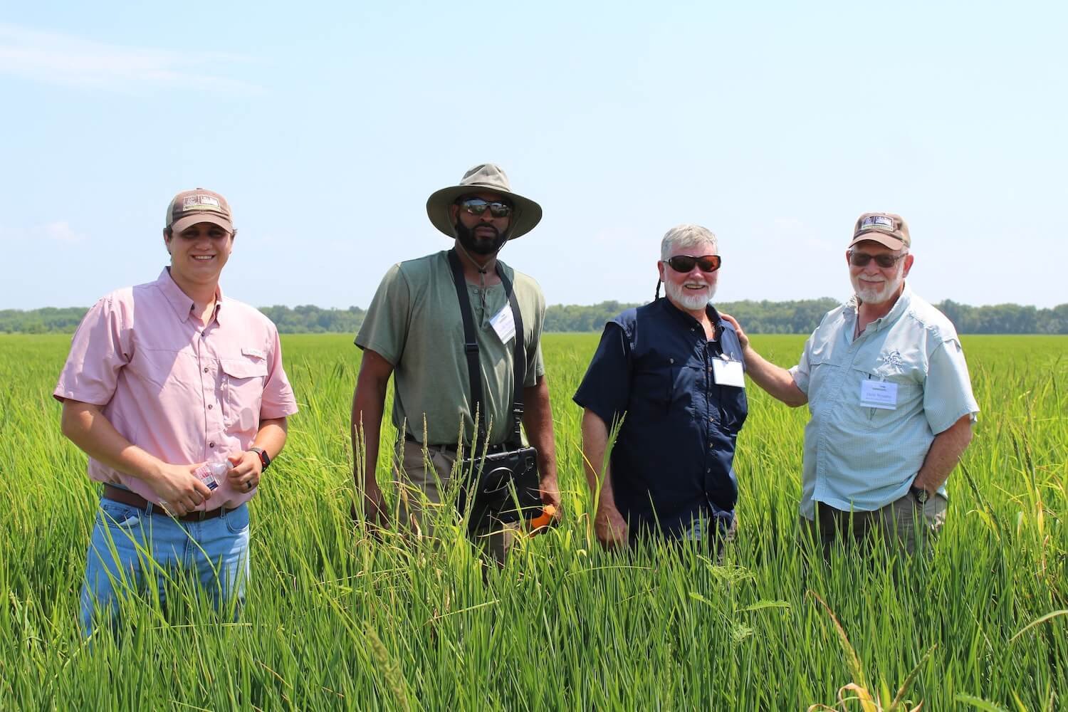 Rice Stewardship Program | Conserving Rice Lands and Waterfowl Habitats