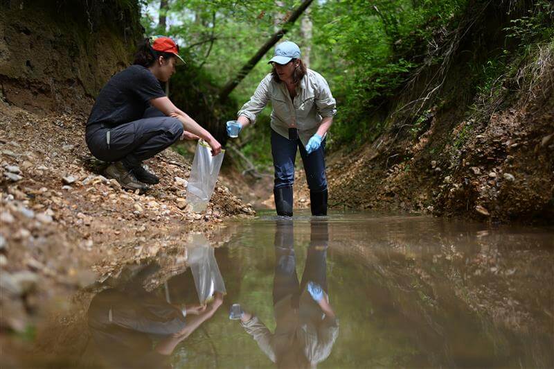 What Does DU Have to Do With… Reforestation?