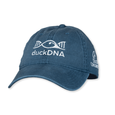duckdna-hat.png