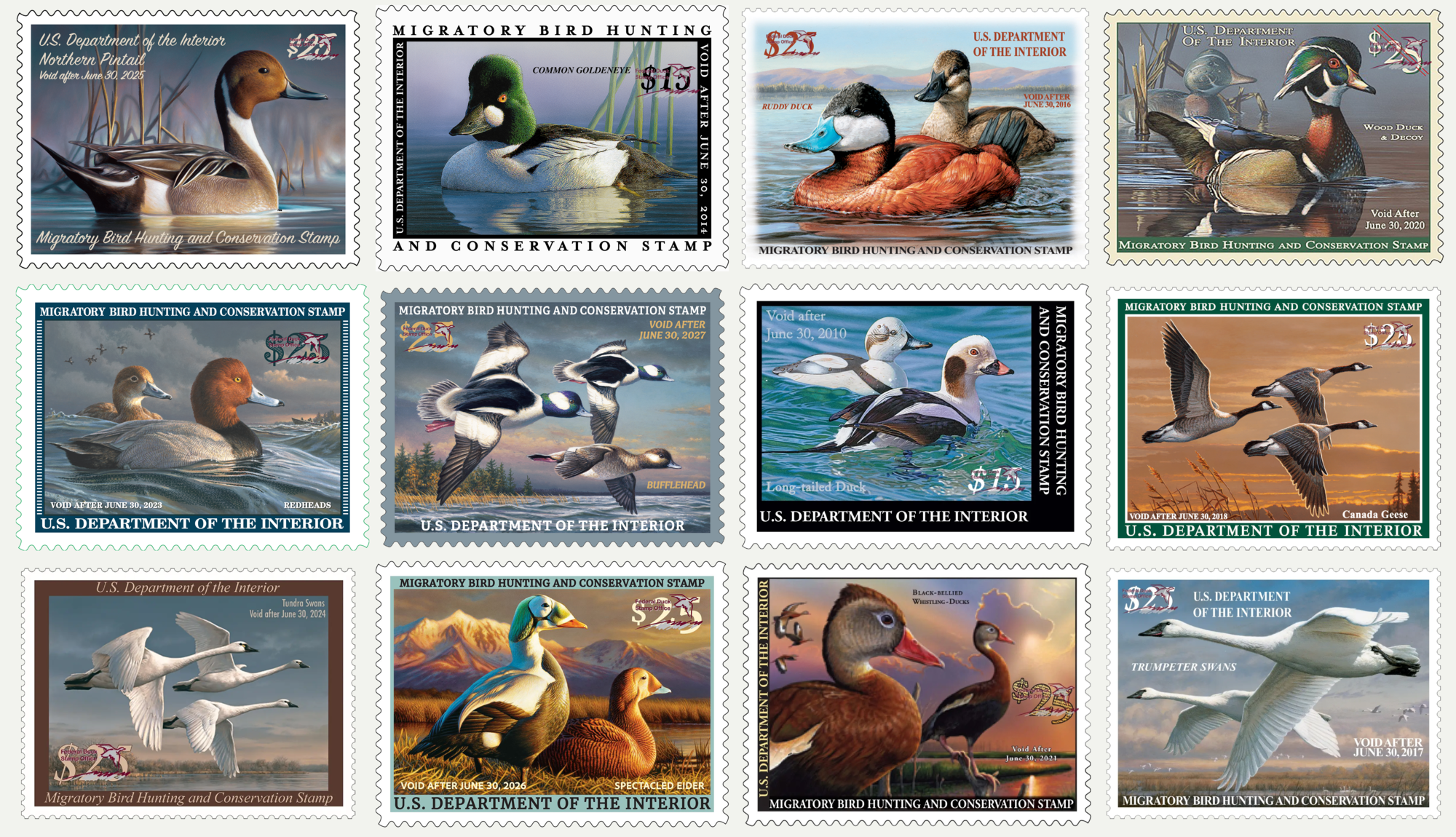 The Federal Duck Stamp