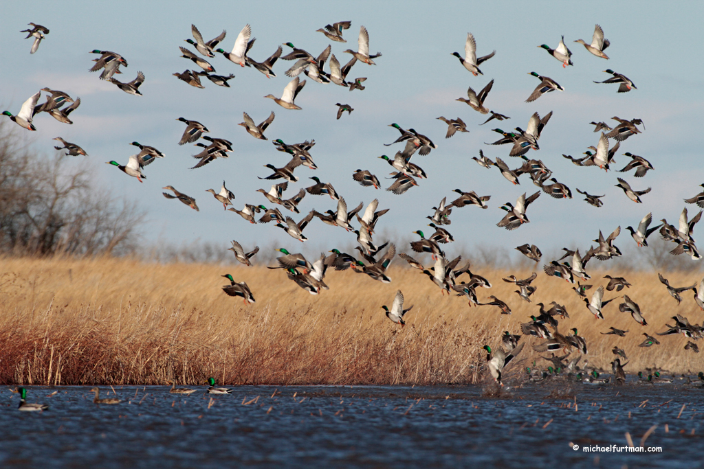 Image for Delaware Streamlines Raffle Permitting Process for Nonprofits