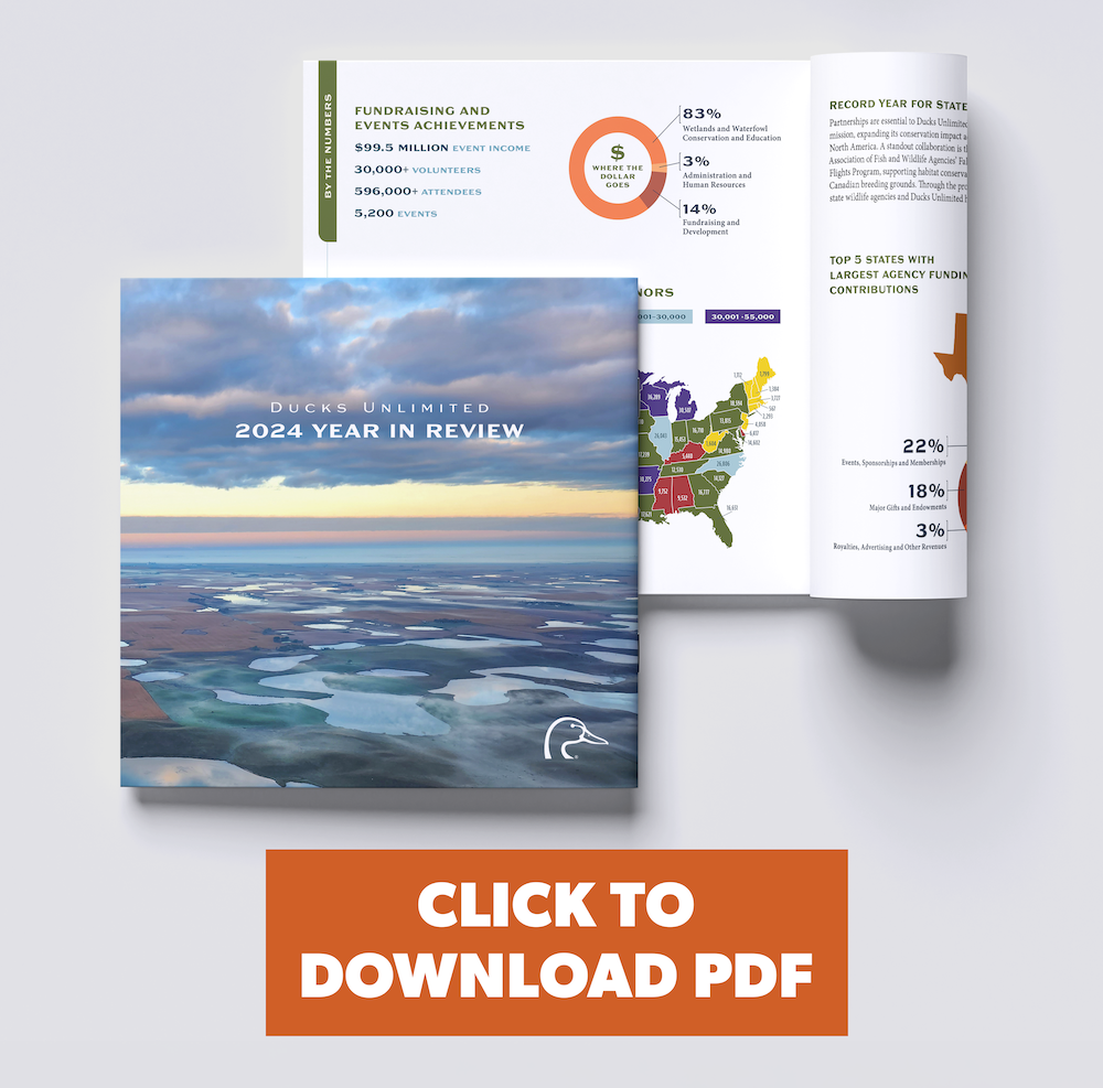 YIR Landing Page.png