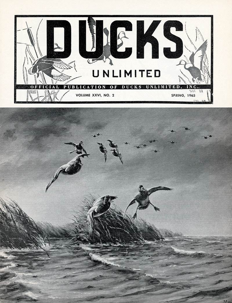 .The first cover of Ducks Unlimited featured the artwork of David Maass, who is profiled in the September/October 2022 issue.