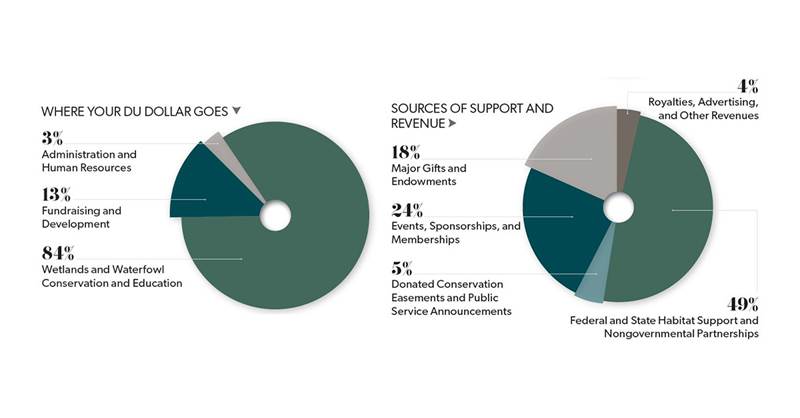 Annual Report Graph