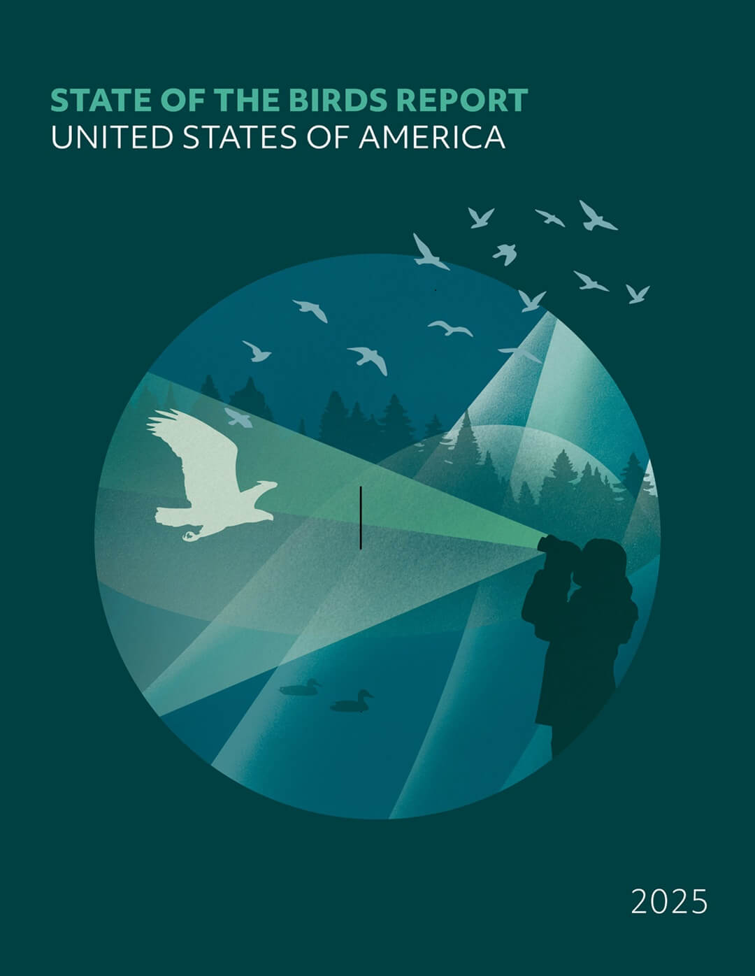 State of the Birds 2025.jpg