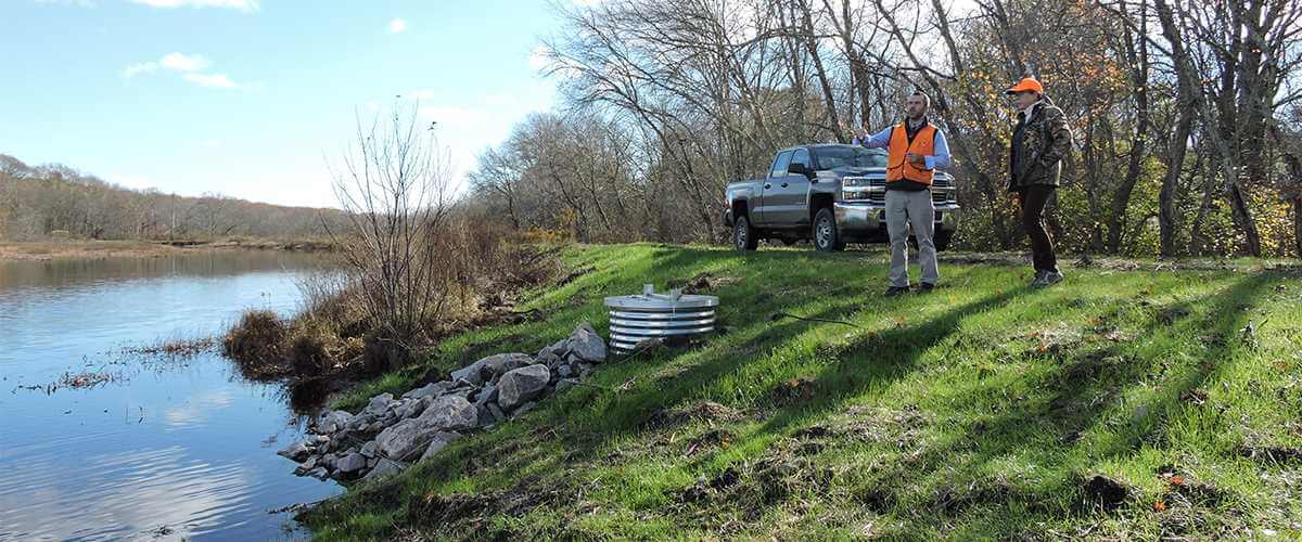 Image for Rhode Island Wetlands Enhanced for Ducks and People