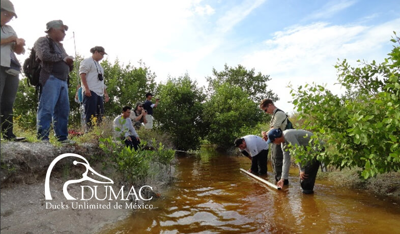 Ducks Unlimited de México Celebrates 50th Anniversary, 2.1 Million Acres Conserved