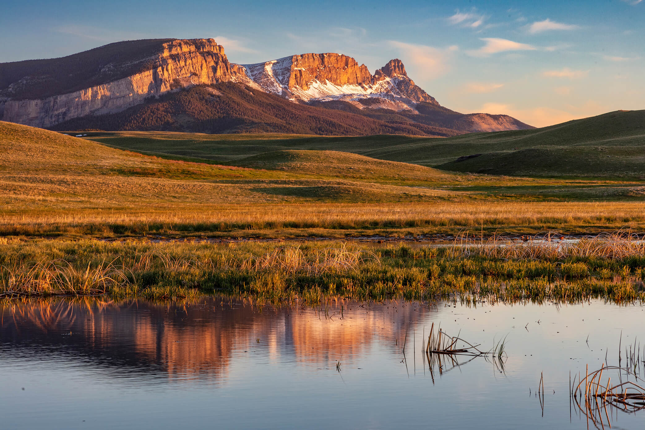 Ducks Unlimited Applauds Montana's Creation of Habitat Legacy Account