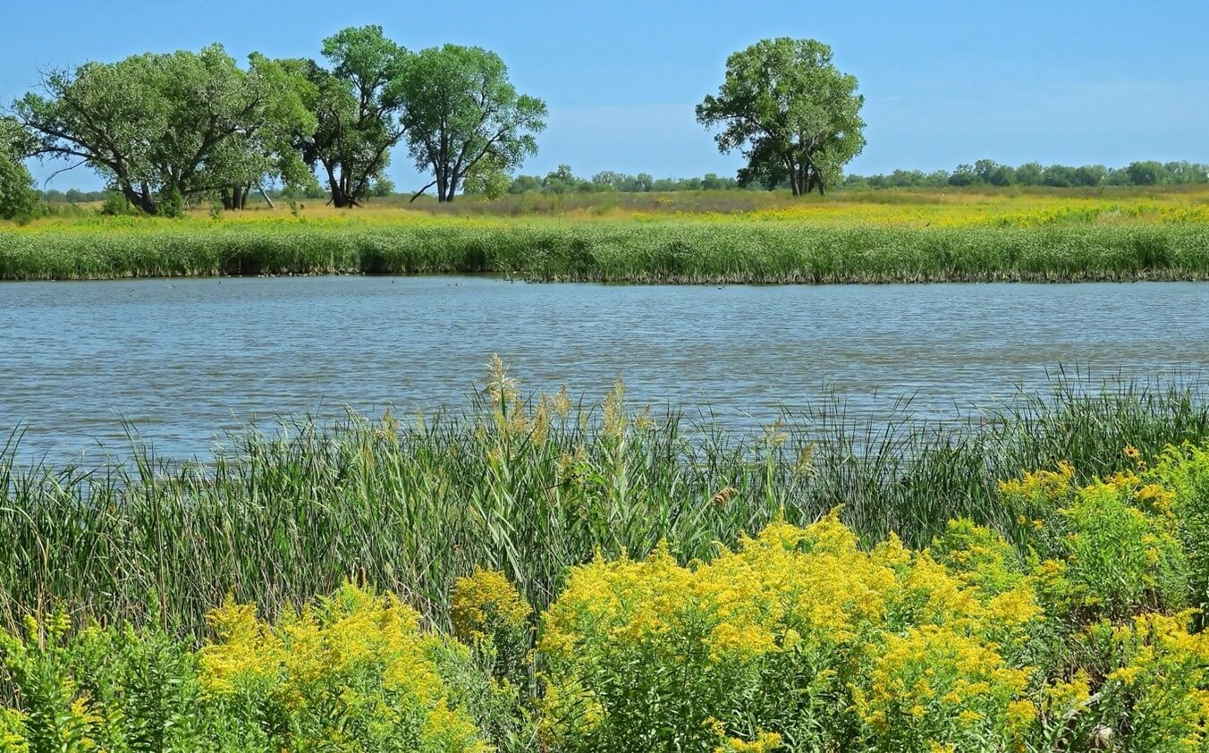 Image for Ducks Unlimited Receives $1.5 Million Grant to Support Sustainable Agricultural Practices