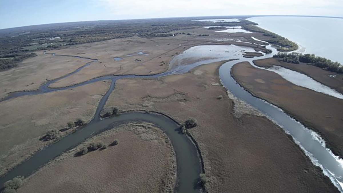 Lakeview WMA Project has Multi-Species Impact 