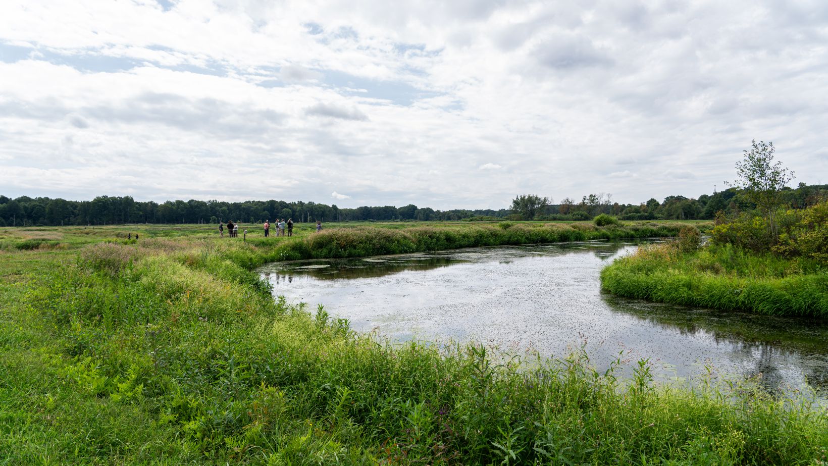 Ducks Unlimited, Partners Celebrate Wetland Restoration at Pennsylvania State Game Lands 151