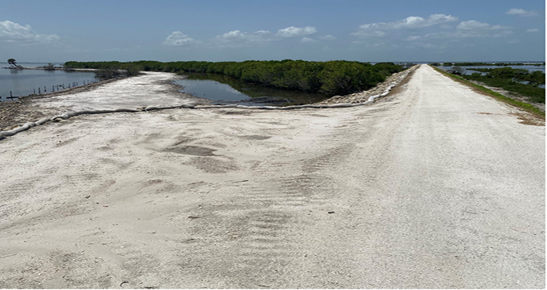 Image for A restored dike for Peacock’s Pocket impoundment at Merritt Island National Wildlife Refuge