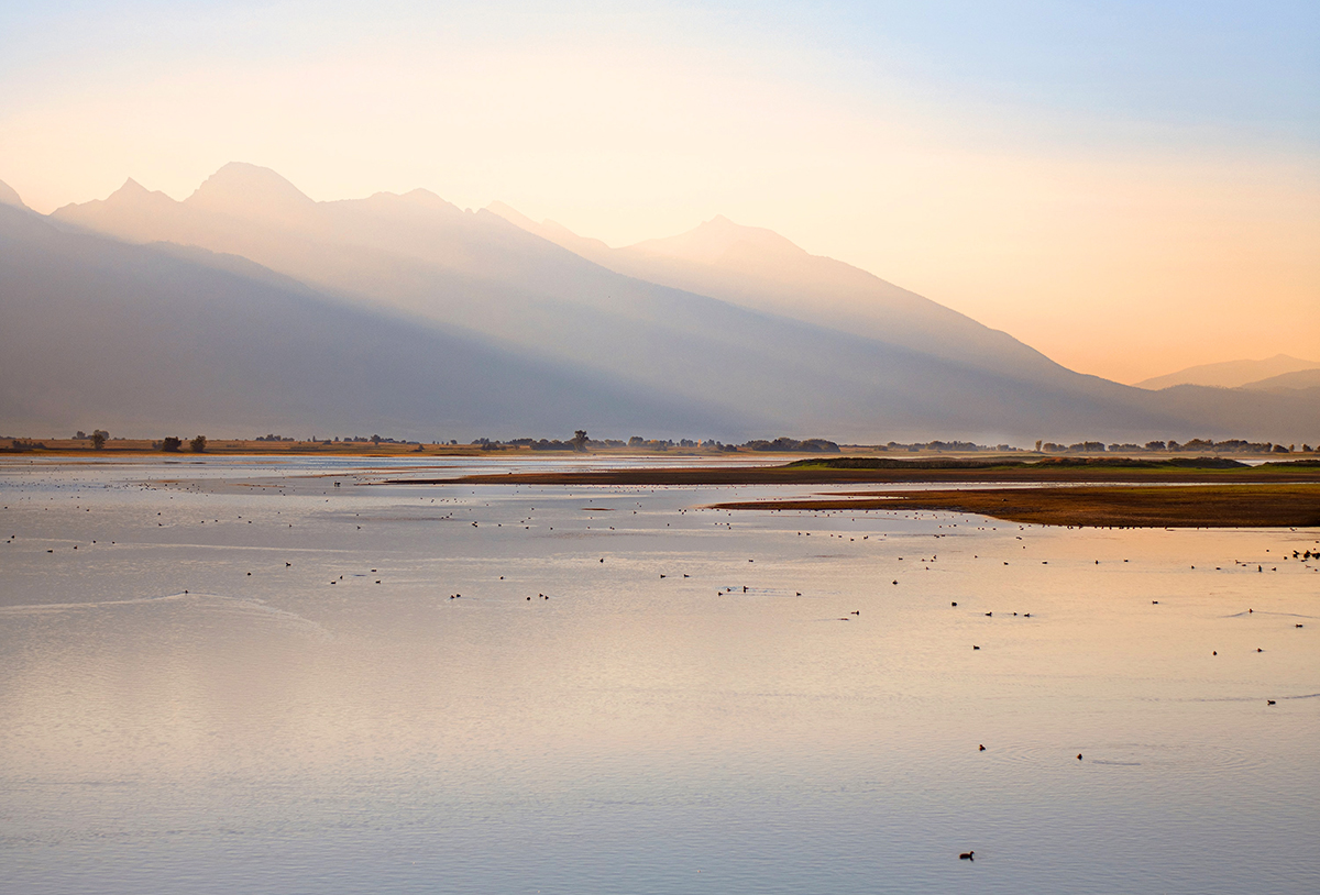 Image for Ducks Unlimited Volunteers Appointed to Montana Wetland Protection Advisory Council