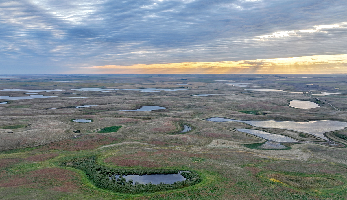 Image for North Dakota Conservation Programs