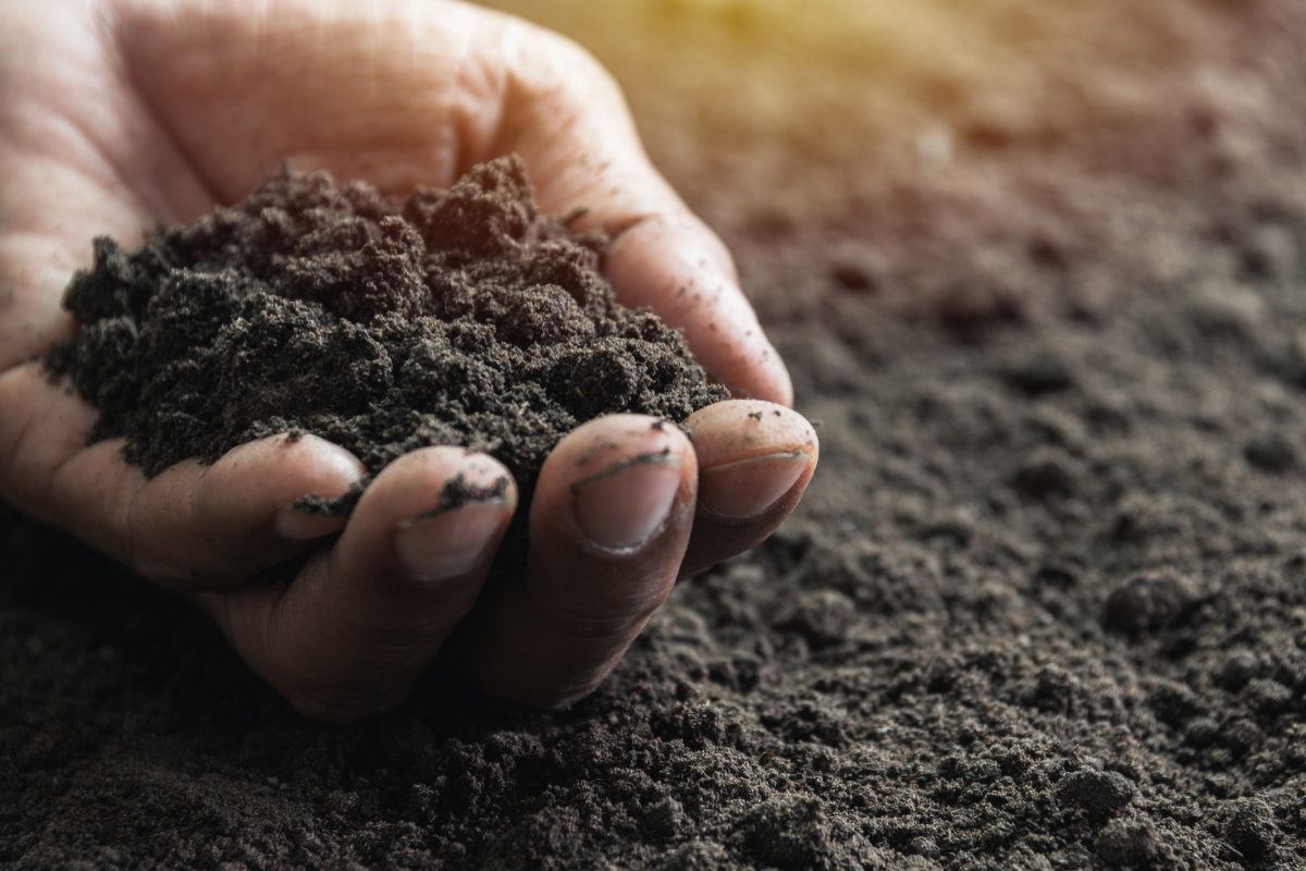 Image for Scaling Soil Health in the Prairie Pothole Region