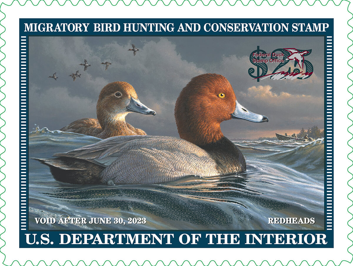 U.S. House Passes Duck Stamp Modernization Act 