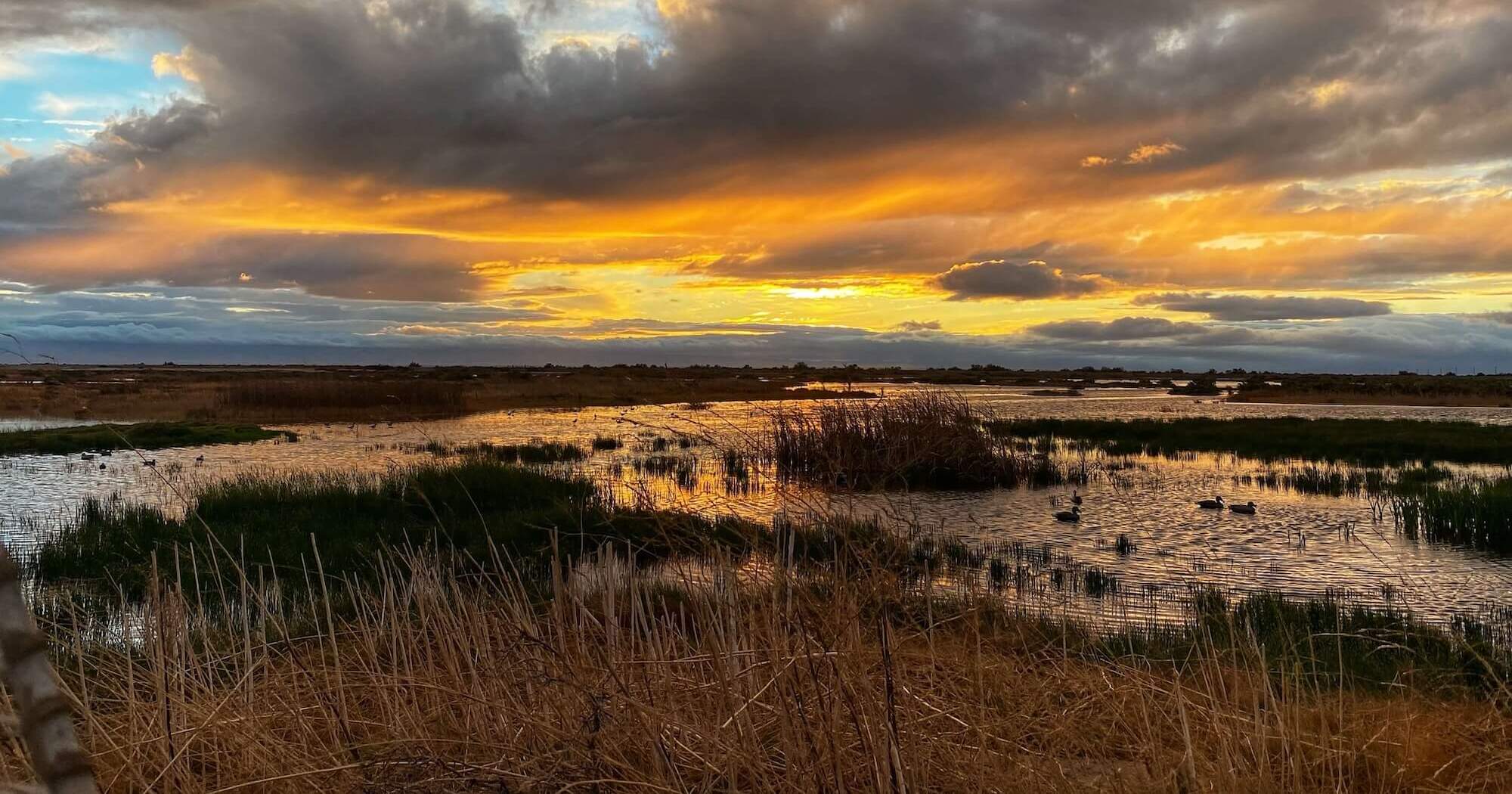 lawrence_east_sunset.jpg
