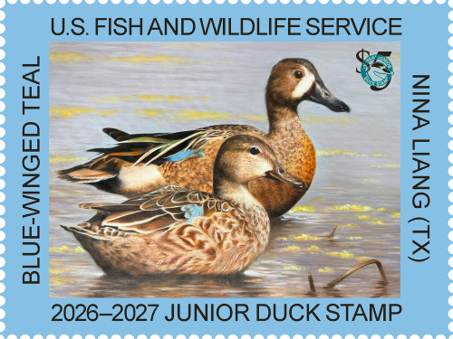 Ducks Unlimited and Partners Celebrate 2026-2027 Federal Duck Stamp First Day of Sale