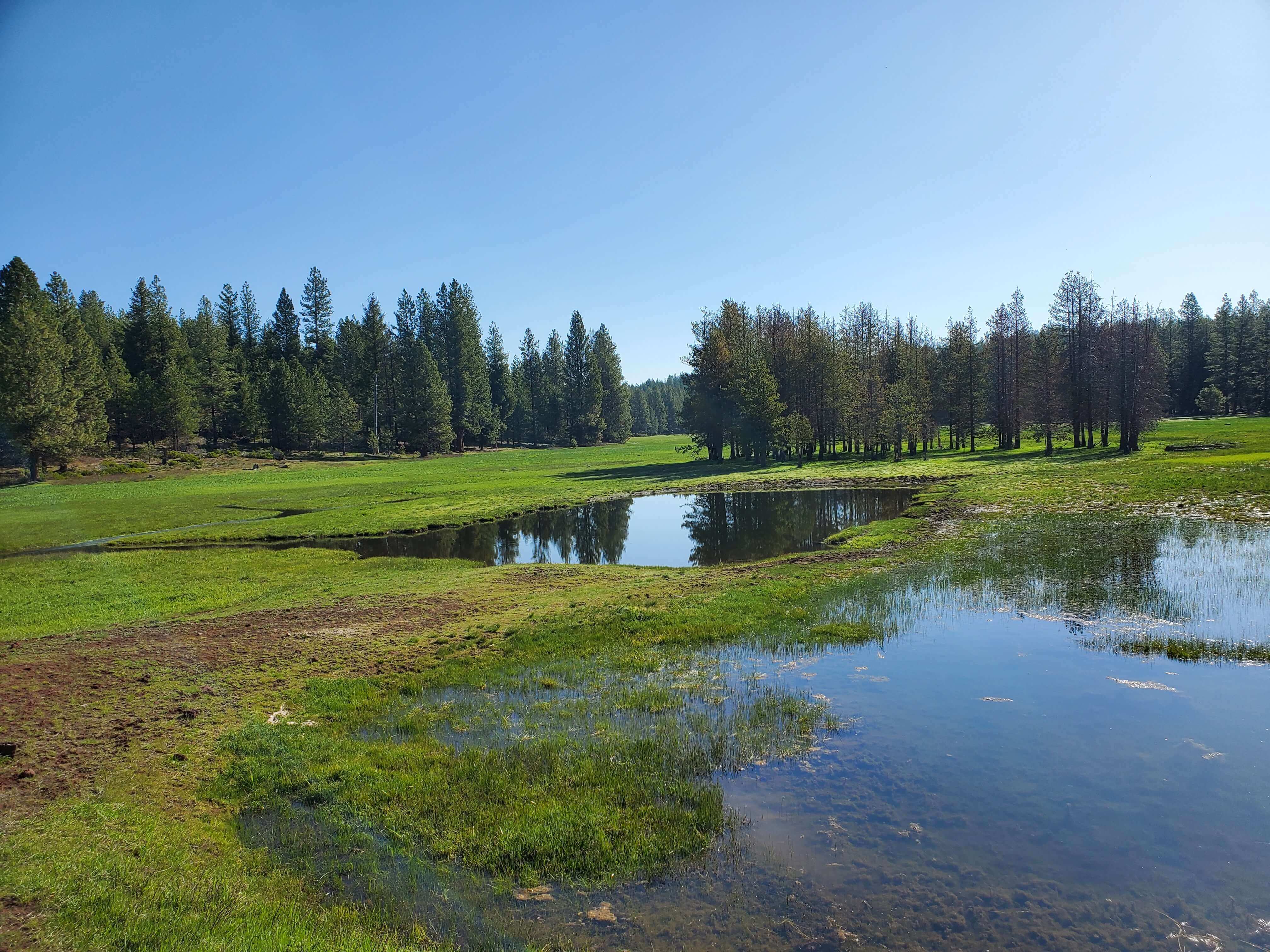 Image for Latest Richard King Mellon Foundation Grants Will Aid DU Work in Upper Klamath Basin, Engage Young Conservationists