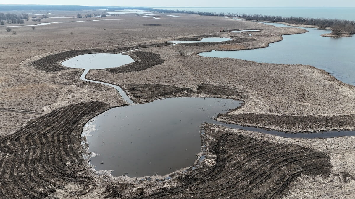 Ducks Unlimited and Partners Complete Wetland Enhancement in New York’s Lakeview WMA