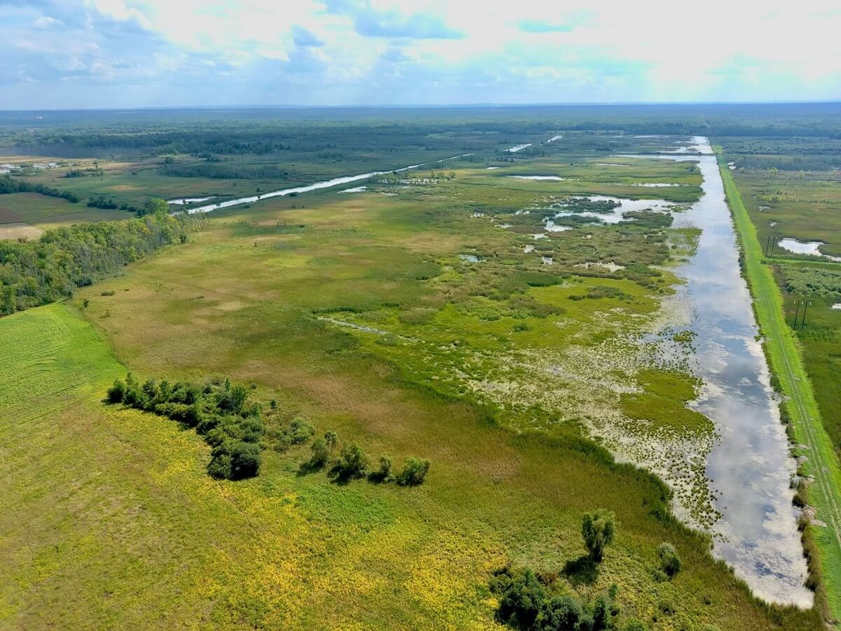 Image for Ducks Unlimited Awarded $1.2 million Water Quality Improvement Project Grant for Wetland Restoration in New York  