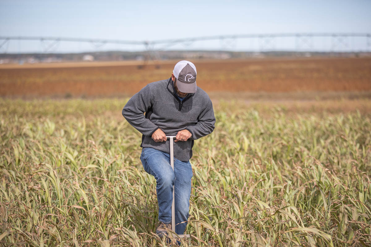 USDA’s $35 Million Conservation Grant Will Impact 240,000 Acres