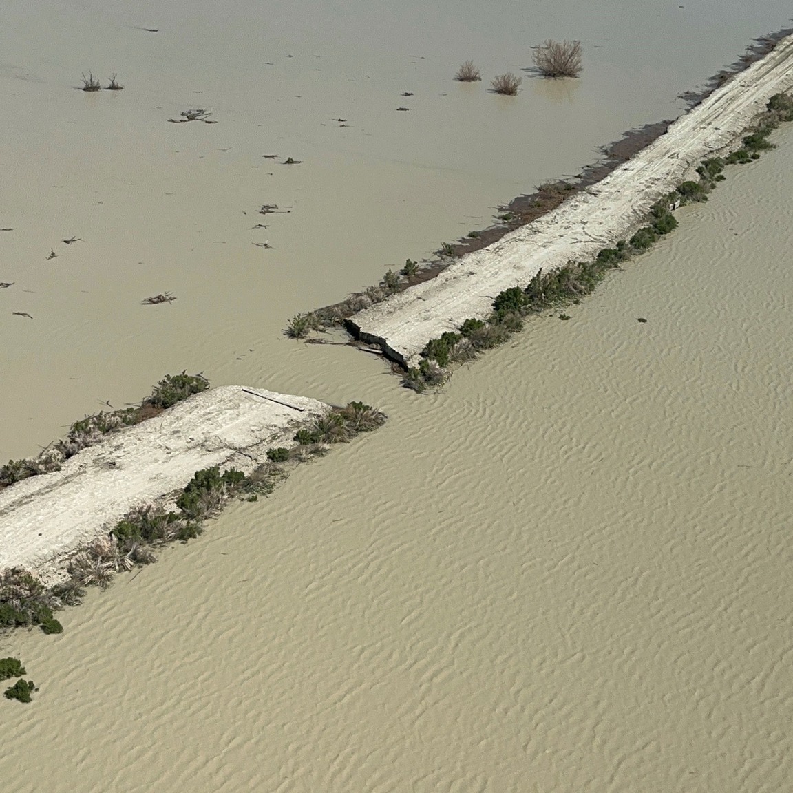 Spring flooding in Nevada benefits the Pacific Flyway's ducks