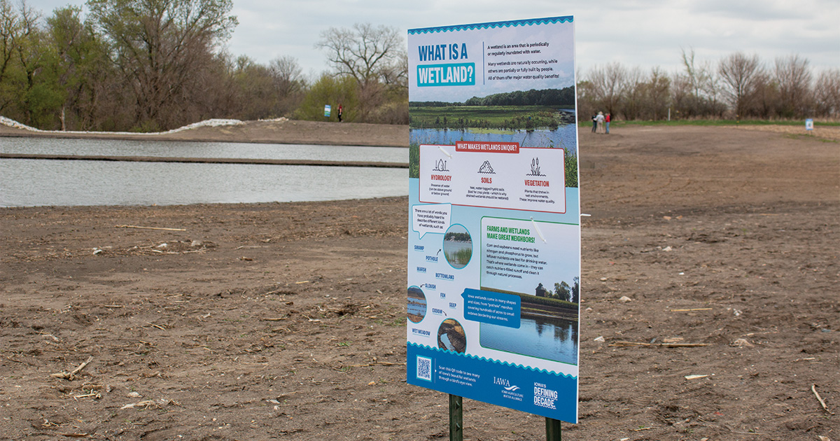 $7.1 Million Grant Will Restore Iowa Wetlands 