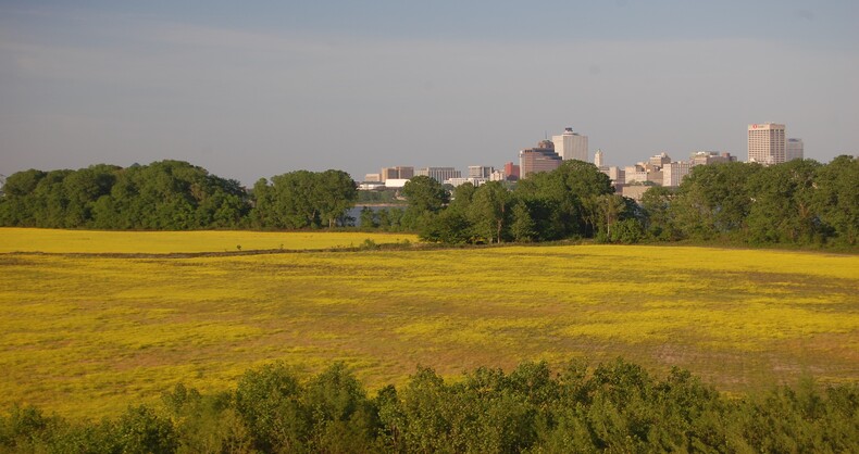 Image for NextEra Energy Resources invests in Ducks Unlimited Park 