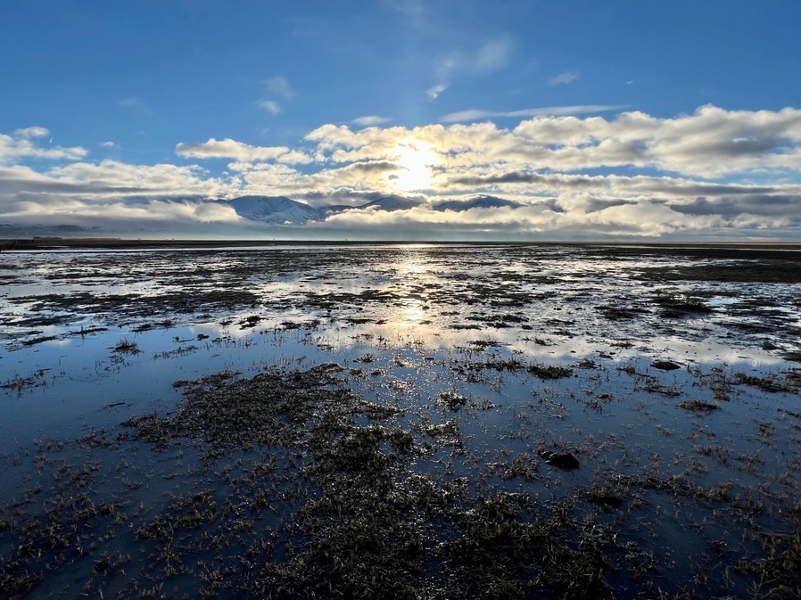 Ducks Unlimited Safeguards 935-acre Utah Wetland