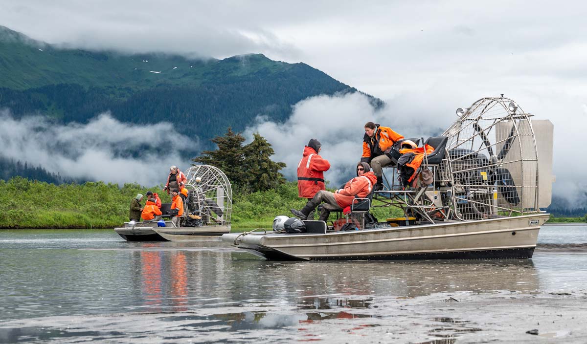 airboats.jpg