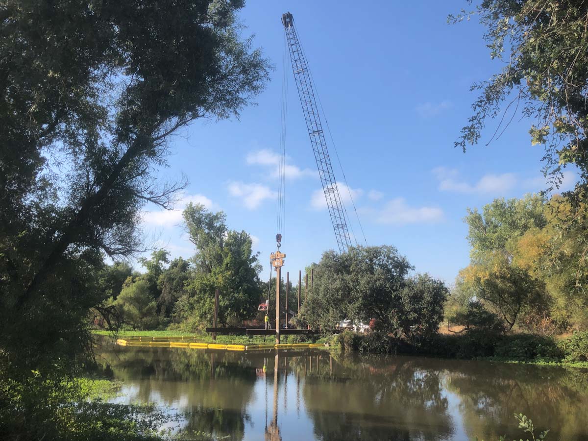 Image for Ducks Unlimited project will improve water availability at Sutter National Wildlife Refuge