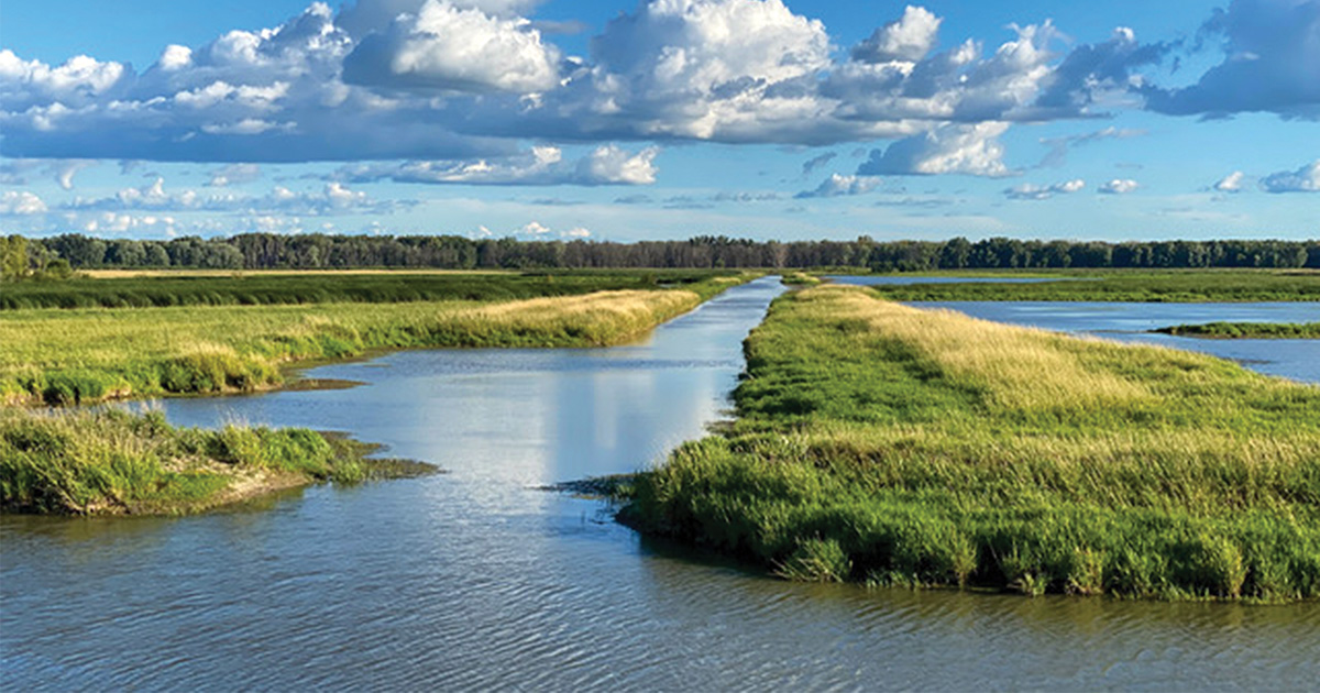 Shiawassee NWR.jpg