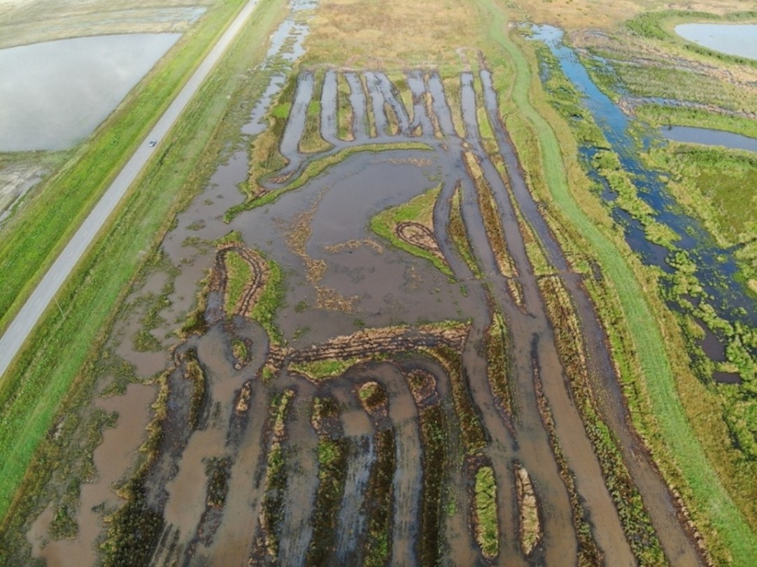 Chevron commits $450,000 for working land enhancement and Mottled Duck conservation