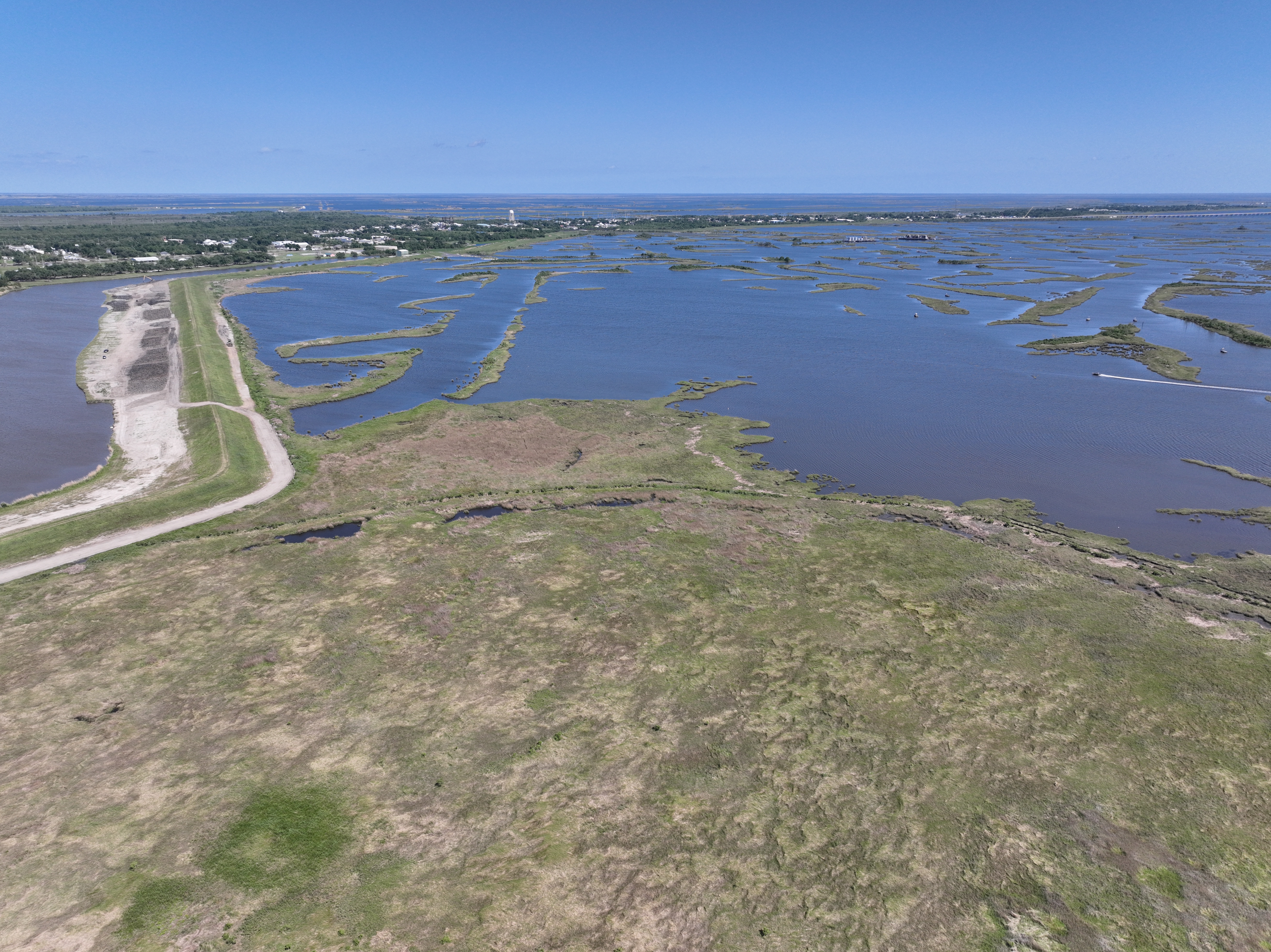 Ducks Unlimited Secures $4.4 Million Grant to Boost Coastal Resilience in Louisiana