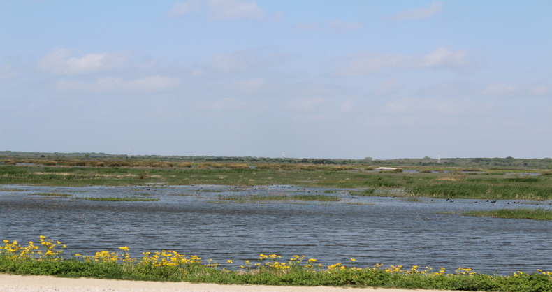 RichlandCreekWMA.JPG