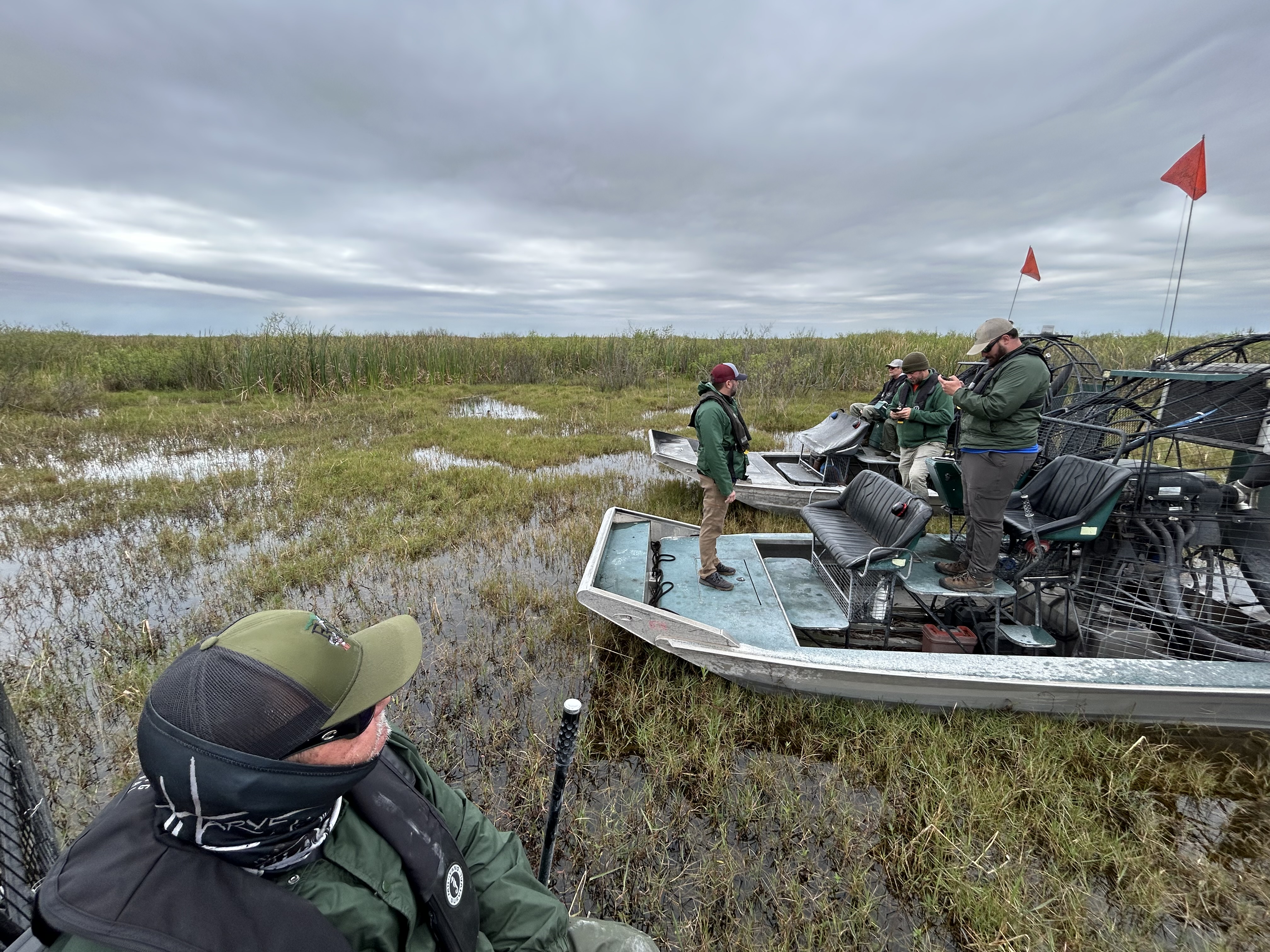 Migratory Bird Conservation Commission Approves $2.99 Million NAWCA Grant for Major Everglades Wetland Restoration Effort