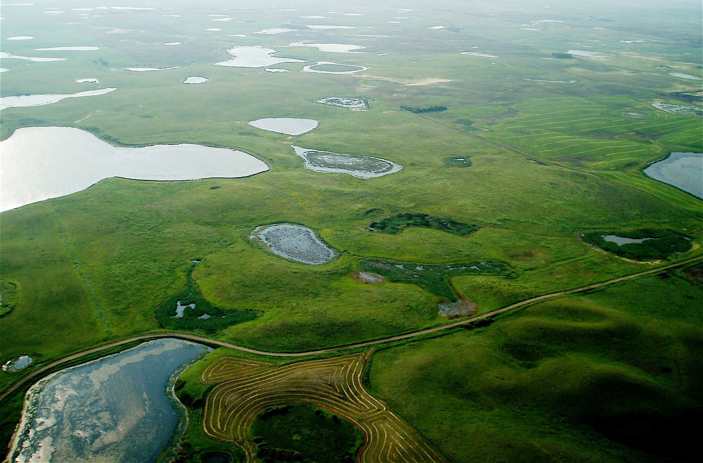 Image for A Win for Conservation