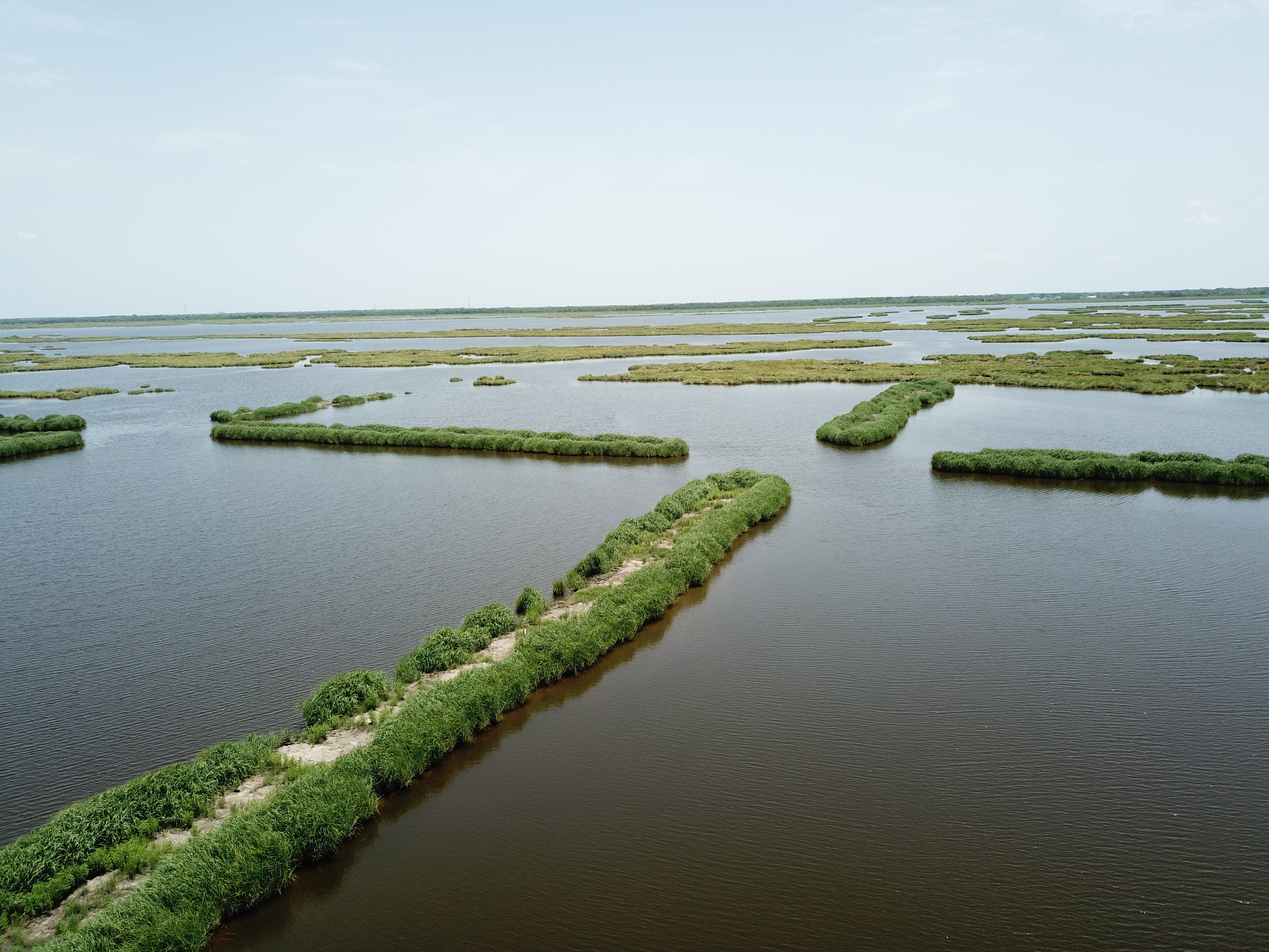 ConocoPhillips and Ducks Unlimited Announce 2026 Partnership to Advance Coastal Wetland Restoration in Louisiana