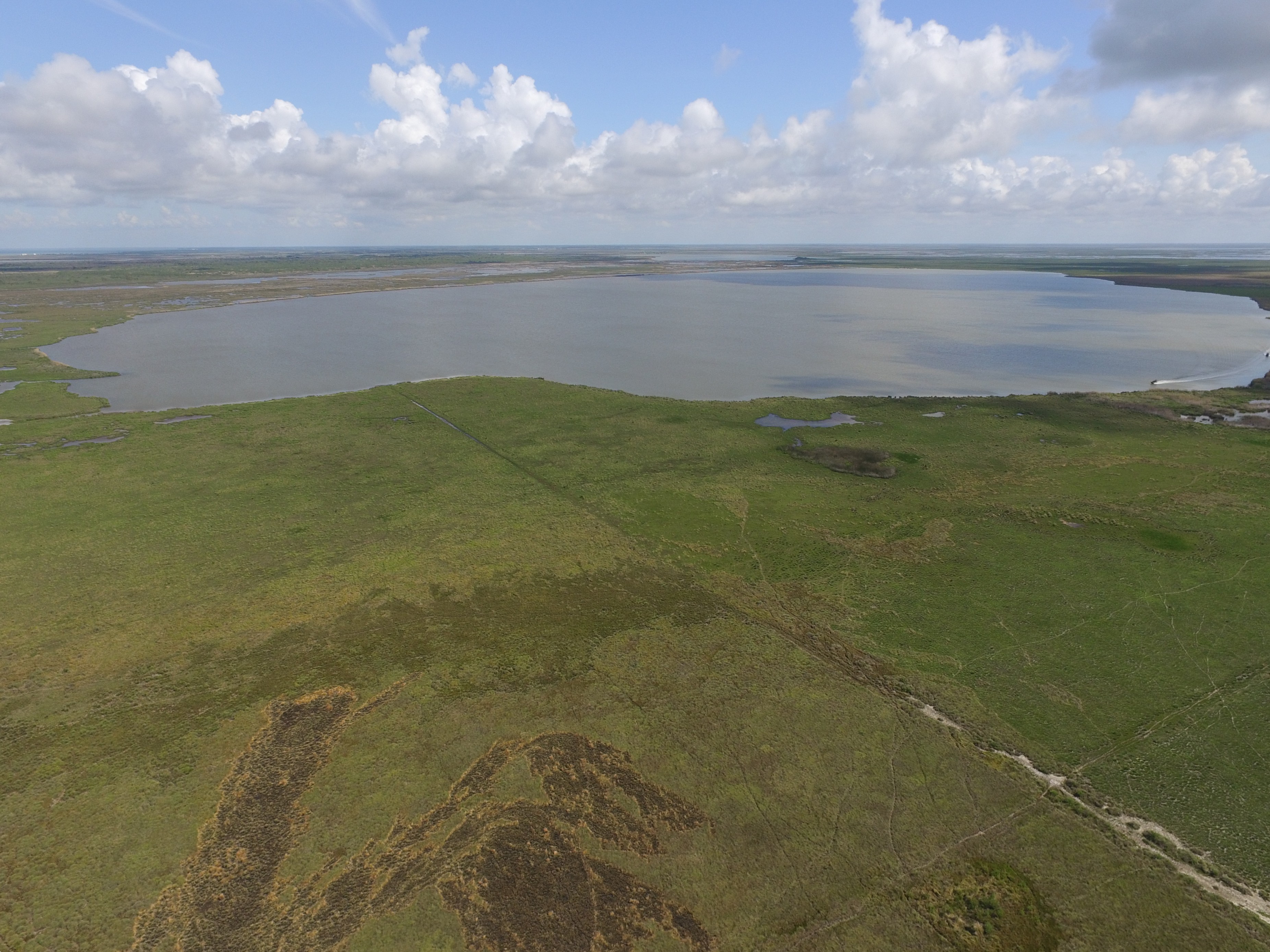 Image for Moody Tract: A Lasting Gift for Gulf Coast Wetlands
