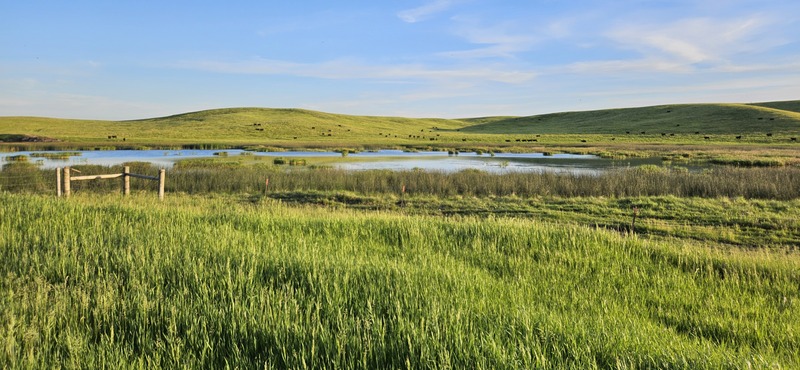 Image for Ducks Unlimited Awarded $9 Million in NAWCA Funding for  Great Plains Wetland Conservation