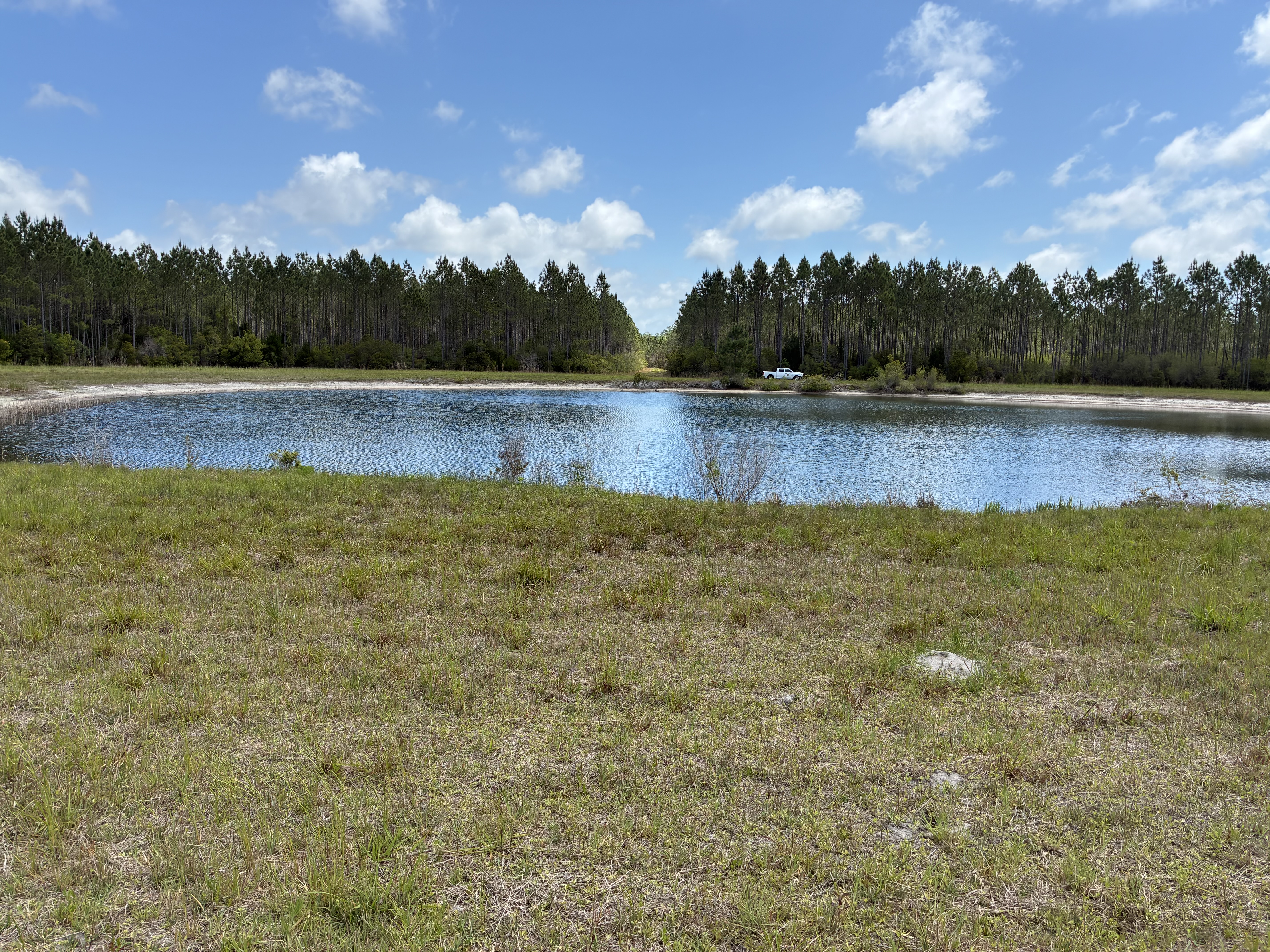 Image for U.S. Fish and Wildlife Service and Ducks Unlimited Complete 1,307-Acre Expansion of St. Marks National Wildlife Refuge