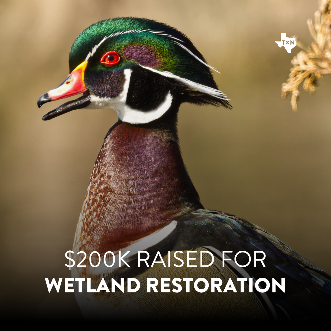 Ozarka Spring Water Spearheads $200,000 Donation Match Effort for Vital Conservation Work