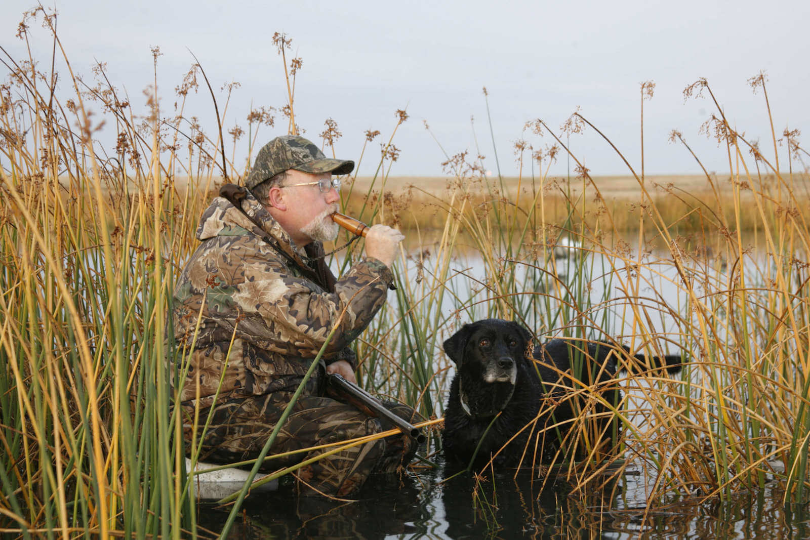 Image for 'National treasure for conservation' Dr. Fritz Reid retires from DU