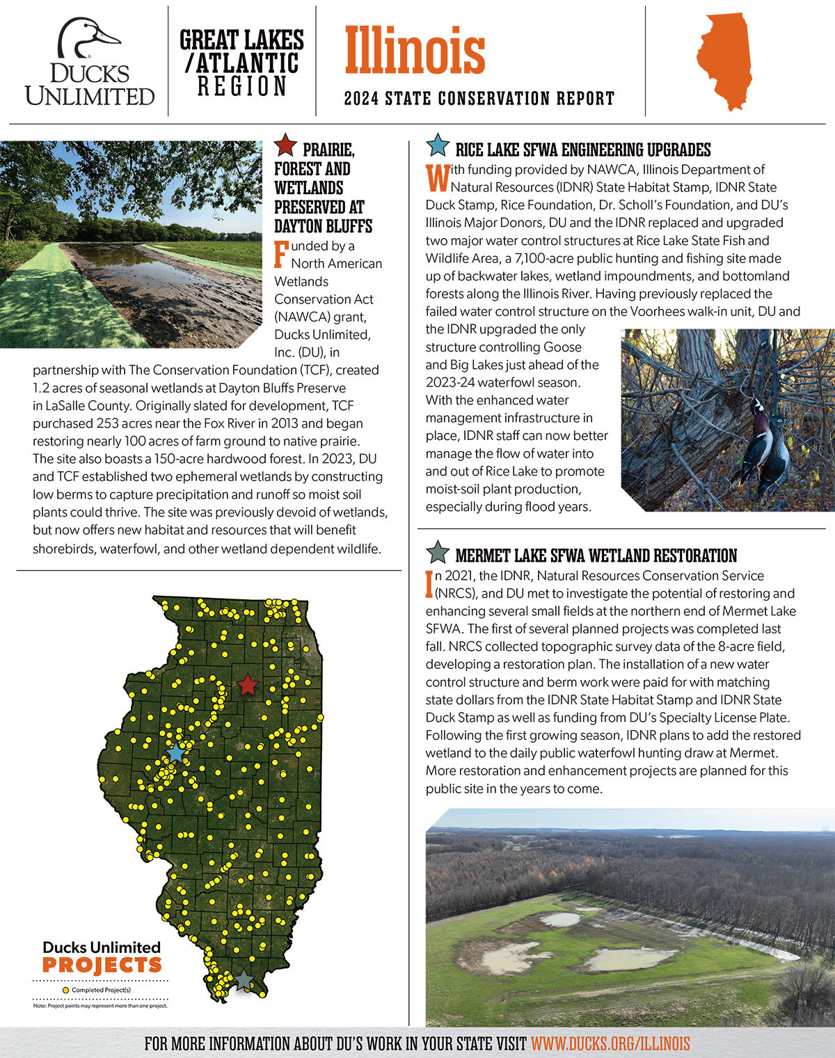 Image for 2024 Illinois State Conservation Report