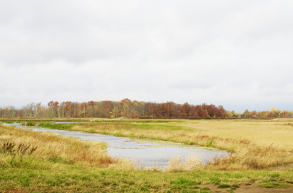 Image for H2Ohio Receives $270 Million to Improve State’s Water Quality 